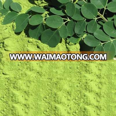 Medical Moringa powder