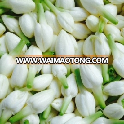 Madurai Jasmine Flower/Malligai Poo