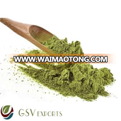 Moringa powder with Medical benefits for Export