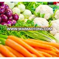 Fresh Indian Vegetables for export