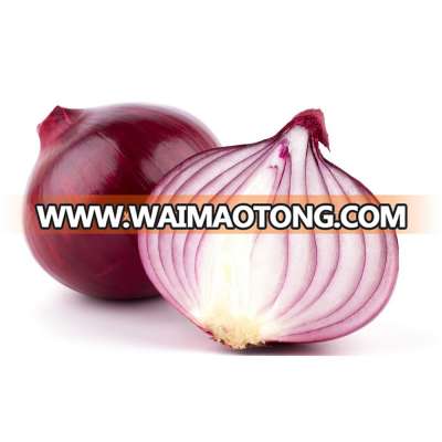 Red Onions in Mesh Bag