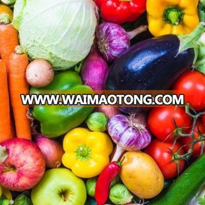 Fresh Vegetables for Europe/US Buyer