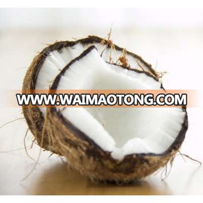 Fresh Quality Indian Semi Husked Coconut