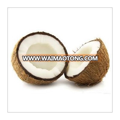 Fresh Quality Indian Semi Husked Coconut